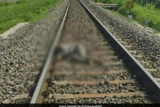 रेलवे ट्रैक पर मिली दुष्कर्म-हत्या के आरोपी की लाश, मंत्री ने दो दिन पहले दी थी 'एनकाउंटर' की धमकी