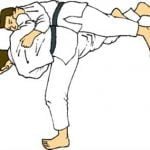 20 वीं राज्य स्तरीय सब जुनियर एवं कैडेट जूडो प्रतियोगिता