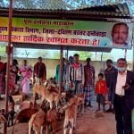 दंतेवाड़ा जिले में 636 आत्मसमर्पित नक्सलियों को शासन द्वारा दी जा रही है सहूलियतें… 120 को मिली शासकीय नौकरी, 532 लोगों का बनाया गया राशन कार्ड