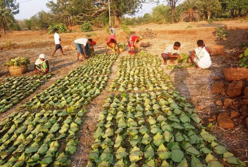 Shaheed Mahendra Karma Tendupatta Social Security Scheme