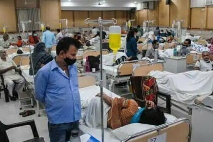 डेंगू के मामले 1,000 के पार; एक सप्ताह में 283 नए मरीज मिले, साल 2018 के बाद से सबसे अधिक मामले