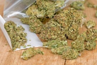 गांजा तस्करी रोकने तैयार होगी कार्ययोजना