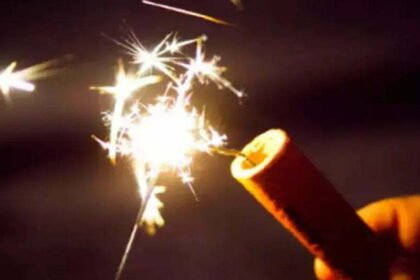 Government decree for Deepawali… Instructions issued to strictly follow the order issued by National Green Tribunal