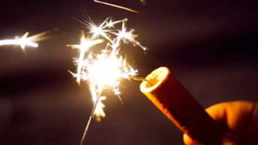 Government decree for Deepawali… Instructions issued to strictly follow the order issued by National Green Tribunal