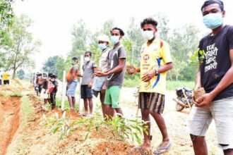 उद्यानिकी को बढ़ावा देने मनरेगा के साथ कृषि, सहकारिता एवं किसान कल्याण विभाग तथा केंद्रीय ग्रामीण विकास विभाग की योजनाओं को मिलेगा बढ़ावा
