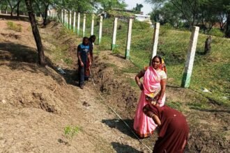 दिव्यांग लक्ष्मीन ने अपने हौसलों से जिंदगी में नए रंग भरे…. टेक्नोलॉजी के उपयोग में दक्ष लक्ष्मीन है कई लोगों की प्रेरणा, श्रमिकों की कई तरह से करती है मदद