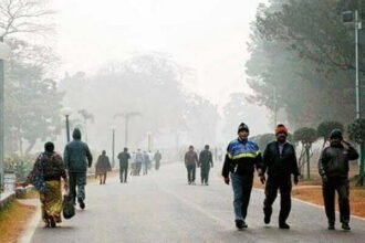 प्रदेश के कई क्षेत्रों में बढ़ी ठंड, छाने लगा कोहरा, गिरने लगा पारा