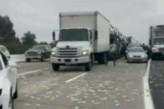 अचानक सड़क पर होने लगी नोटों की बारिश, ऐसे पैसे लूट रहे थे लोग, देखें वायरल वीडियो