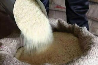 सितंबर के बाद भी लोगों को मिलेगा मुफ्त अनाज? सरकार कर रही विचार, स्टॉक देखकर इस महीने अंतिम फैसला