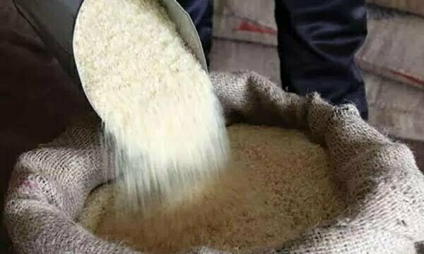सितंबर के बाद भी लोगों को मिलेगा मुफ्त अनाज? सरकार कर रही विचार, स्टॉक देखकर इस महीने अंतिम फैसला