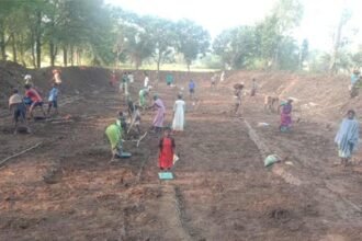 छोटी सी शुरुआत मगर बुलन्द है हौसलों की उड़ान : महिला मेट बन लोगों को स्वाभिमान से जीने का रास्ता दिखा रहीं सोमारी