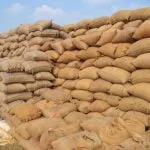 प्रदेश में अब तक 38.88 लाख मीट्रिक टन धान खरीदी, 8.55 लाख किसानों ने बेचा धान