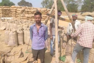 राज्य में 22.31 लाख मीटरिक टन से अधिक धान की खरीदी