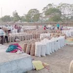 राज्य में अब तक 2.36 लाख मीटरिक टन धान की खरीदी 77 हजार 162 किसानों ने बेचा धान