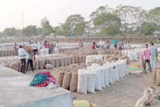 राज्य में अब तक 2.36 लाख मीटरिक टन धान की खरीदी 77 हजार 162 किसानों ने बेचा धान