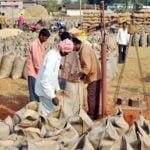 कस्टम मिलिंग के लिए अब तक 97.70 लाख मीटरिक टन धान का उठाव… केन्द्रीय पूल में 36.40 लाख मीटरिक टन चावल जमा