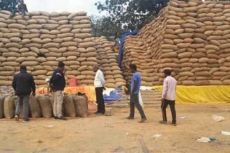 अब तक 16.73 लाख मीट्रिक टन धान की खरीदी, किसानों को लगभग 3482 करोड़ रूपए का भुगतान