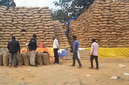 अब तक 16.73 लाख मीट्रिक टन धान की खरीदी, किसानों को लगभग 3482 करोड़ रूपए का भुगतान