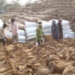 छत्तीसगढ़ में अब तक 69.05 लाख मीटरिक टन से अधिक धान की खरीदी