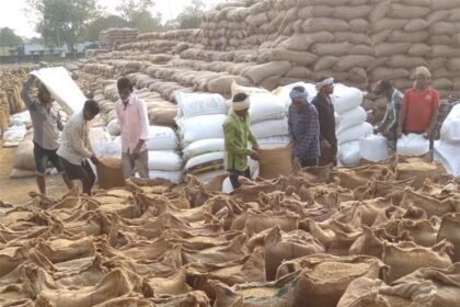 छत्तीसगढ़ में अब तक 69.05 लाख मीटरिक टन से अधिक धान की खरीदी