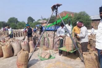 राज्य में पहले दिन हुई 88 हजार मीट्रिक टन धान की खरीदी
