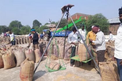 राज्य में पहले दिन हुई 88 हजार मीट्रिक टन धान की खरीदी