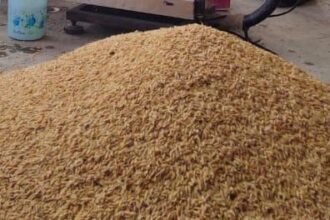 किसानों को धान खरीदी के अंतर की राशि जल्द दी जाएगी