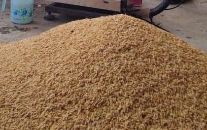 किसानों को धान खरीदी के अंतर की राशि जल्द दी जाएगी