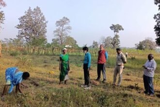 मिलेट मिशन : रागी से वनांचल की महिलाओं को मिला नया आमदनी का जरिया