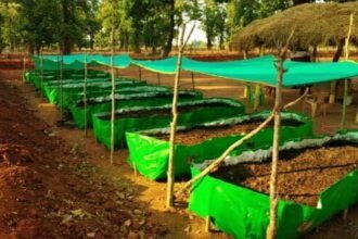 सफलता : छत्तीसगढ़ की तीन योजनाओं को मिली राष्ट्रीय स्तर में पहचान