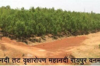 नदियों का तट हुआ हराभरा, 28 नदियों के तट पर लगाए गए 11 लाख पौधे