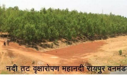 नदियों का तट हुआ हराभरा, 28 नदियों के तट पर लगाए गए 11 लाख पौधे