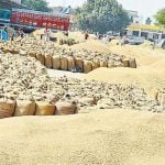 जांजगीर-चांपा जिला सीएमआर में चावल जमा कराने में प्रदेश में अव्वल