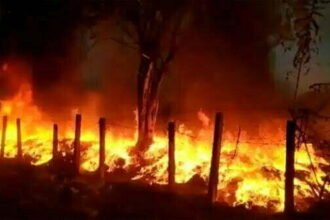 धान संग्रहण केंद्र में लगी भीषण आग, हजारों क्विंटल अनाज खाक