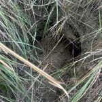 आतंकी साजिश: सीमापार से सुरंग के रास्ते दहशतगर्द भेजने की कोशिश, अंतरराष्ट्रीय सीमा पर मिली टनल