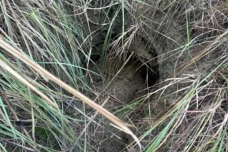 आतंकी साजिश: सीमापार से सुरंग के रास्ते दहशतगर्द भेजने की कोशिश, अंतरराष्ट्रीय सीमा पर मिली टनल