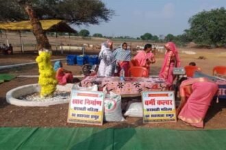 सुराजी गांव योजना के तहत झालम गौठान ने बनाया महिलाओं को आत्मनिर्भर