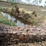 नरवा उपचार की कोशिशें अब रंग ला रही, रबी फसल के लिए किसानों को मिल रहा पानी