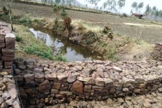 नरवा उपचार की कोशिशें अब रंग ला रही, रबी फसल के लिए किसानों को मिल रहा पानी