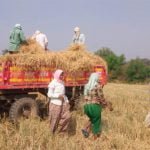 गौठानों को किसानों ने किया 7 लाख 32 हजार 886 क्विंटल पैरा दान