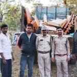लगभग 2 लाख रूपए मूल्य के सागौन चिरान की जब्ती, वन विभाग की कार्रवाई