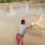 नरवा विकास: 'अर्दन डेम काकडग़ांव से सिंचाई के साथ मत्स्य पालन का हो रहा लाभ'