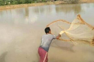 नरवा विकास: 'अर्दन डेम काकडग़ांव से सिंचाई के साथ मत्स्य पालन का हो रहा लाभ'