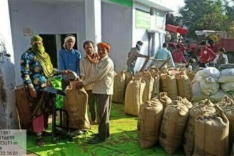 छत्तीसगढ़ में मिलेट फसलों को बढ़ावा देने हो रही समर्थन मूल्य पर खरीदी