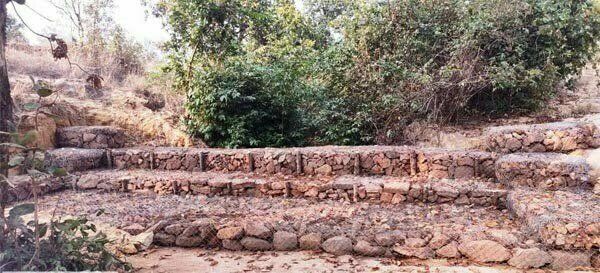 ''नरवा'' विकास: संवर गया खरधवा नाला का स्वरूप