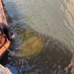 बड़ा हादसा: नदी में गिरी बारात ले जा रही कार, दूल्हा समेत 9 लोगों की मौत