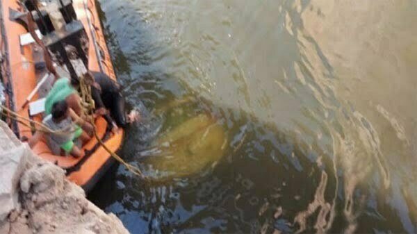 बड़ा हादसा: नदी में गिरी बारात ले जा रही कार, दूल्हा समेत 9 लोगों की मौत