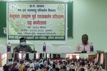 तेन्दूपत्ता संग्रहण: 3 से 5 मार्च तक 'बूटा कटाई तिहार' मनायेंगे तेंदूपत्ता संग्राहक
