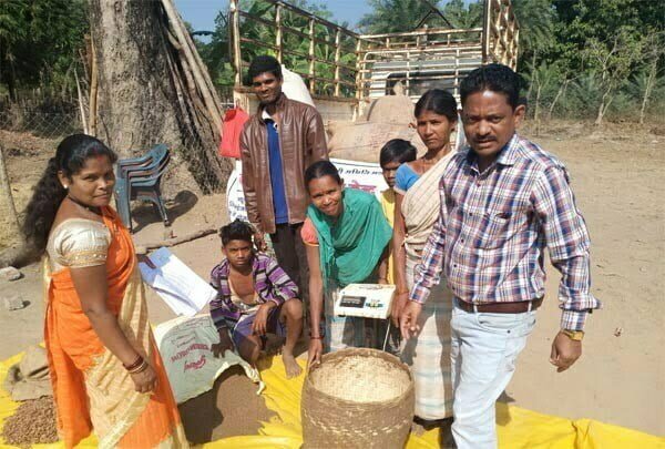 छत्तीसगढ़ में समर्थन मूल्य पर अब 61 लघु वनोपजों की खरीदी, वनवासियों के हित में अहम् फैसला