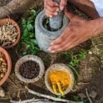 प्रदेश में 1174 आयुष संस्थाओं के माध्यम से नि:शुल्क इलाज, अब तक 22.48 लाख मरीजों का उपचार